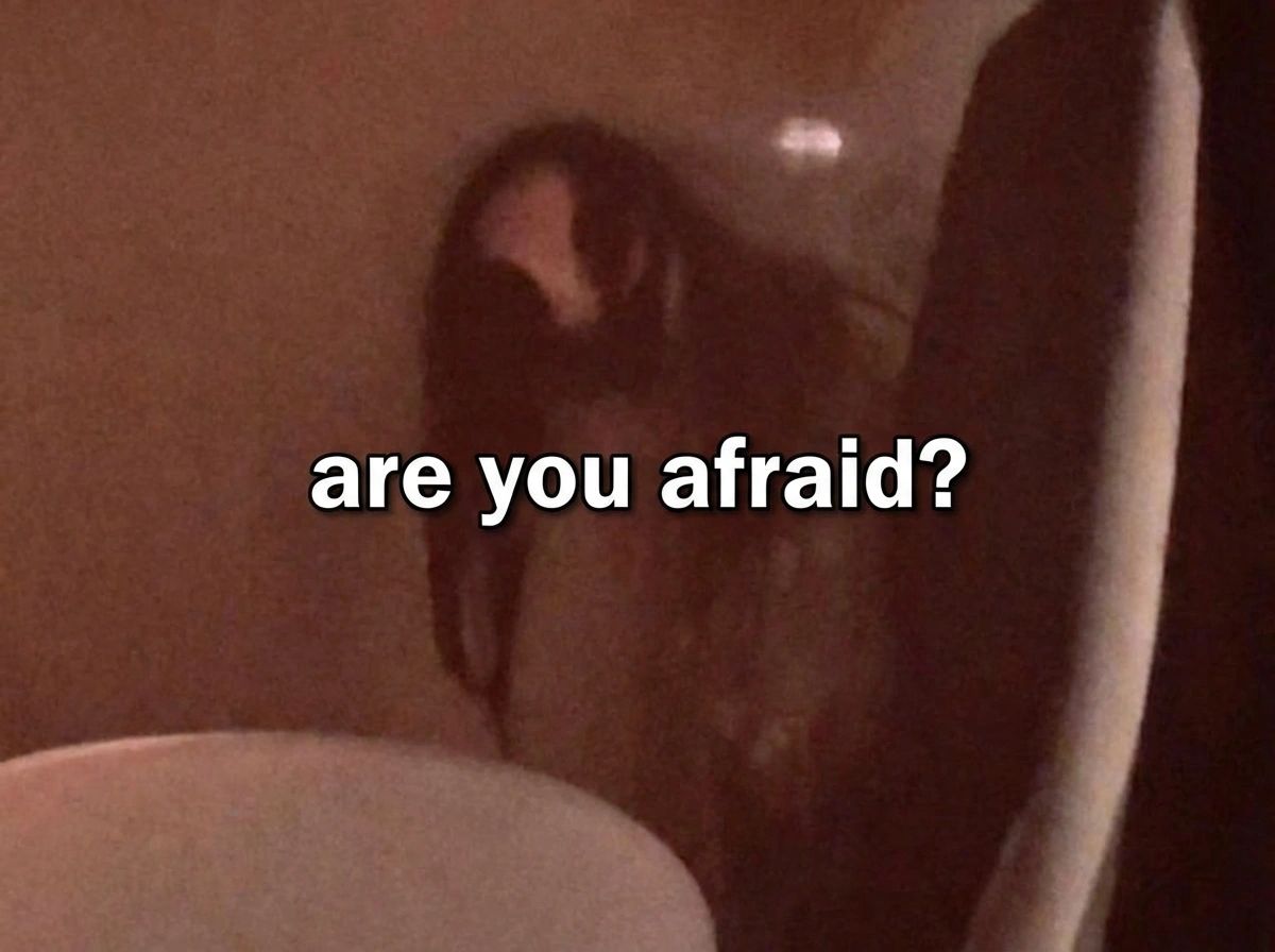 A dark, blurry figure with long black hair crouched in what appears to be a dimly lit bathtub or shower, resembling a scene from a Japanese horror film. White bold text in the center reads "are you afraid?"