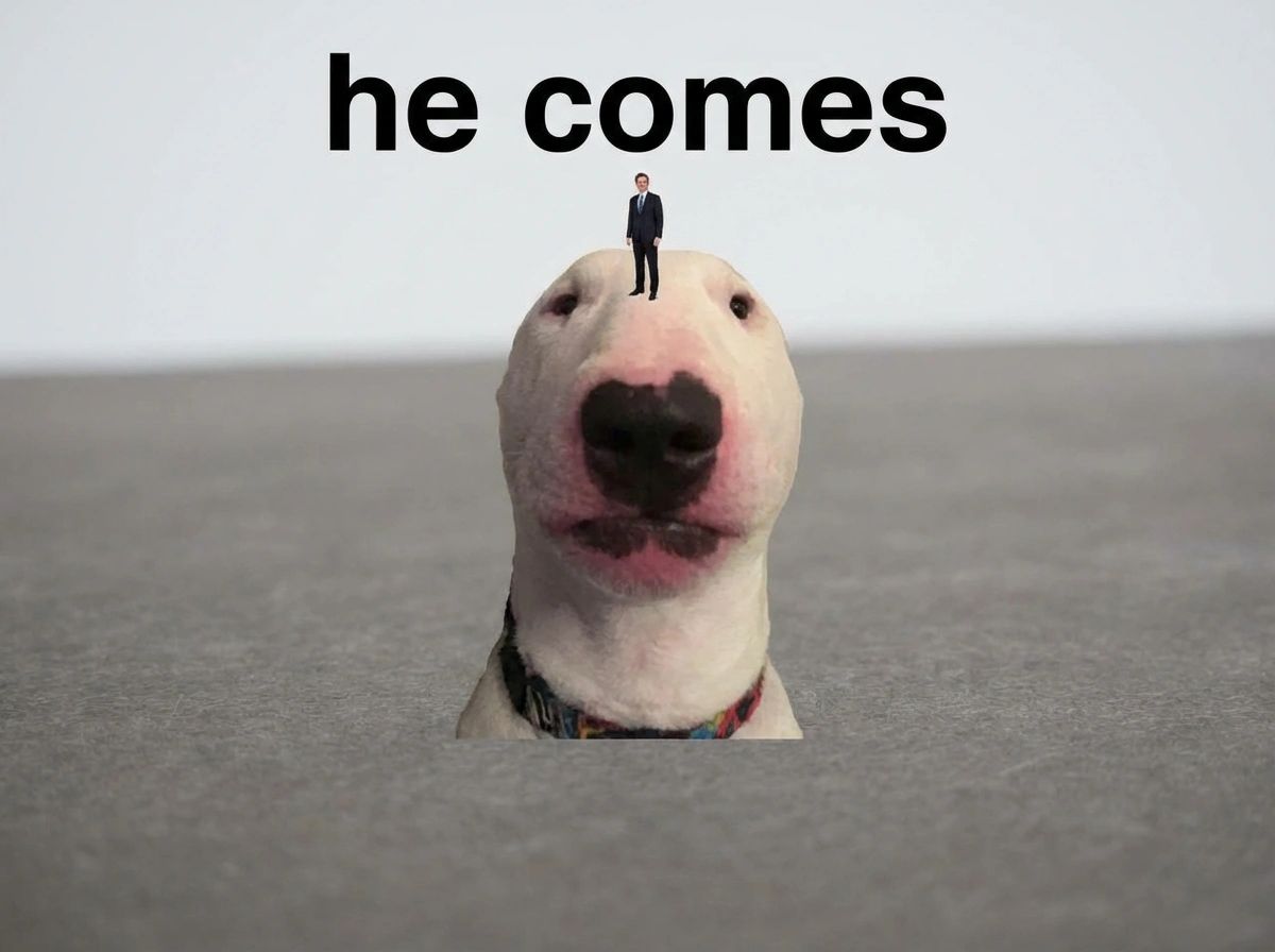 A white bull terrier's head emerges from a barren, flat gray landscape, with a tiny man in a dark suit standing on top of it. Black text at the top reads "he comes."