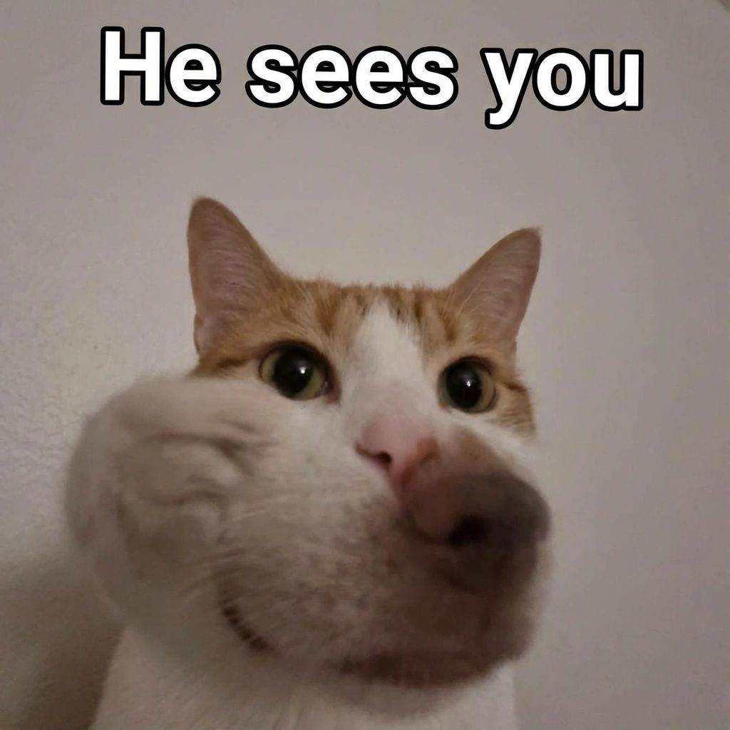 An orange and white cat whose mouth and nose area appears to be replaced with a dog's snout, creating an unsettling cat-dog hybrid staring directly into the camera with wide green eyes. Bold white text at the top reads "He sees you."